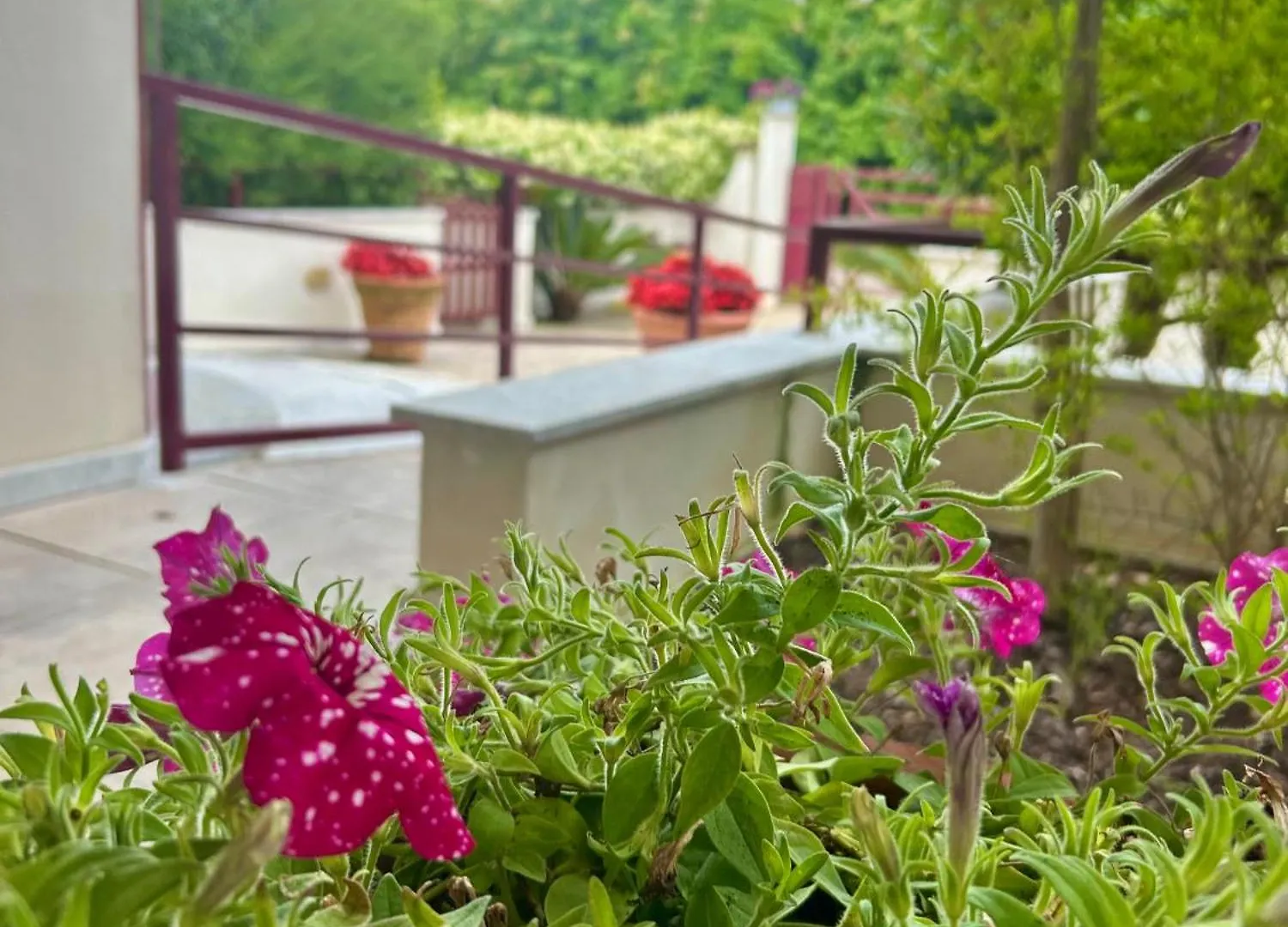 Residence Le Pinete Rta Cinquale 0*,  Italy